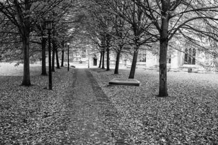 Park at St Mary Redcliffe church in autum