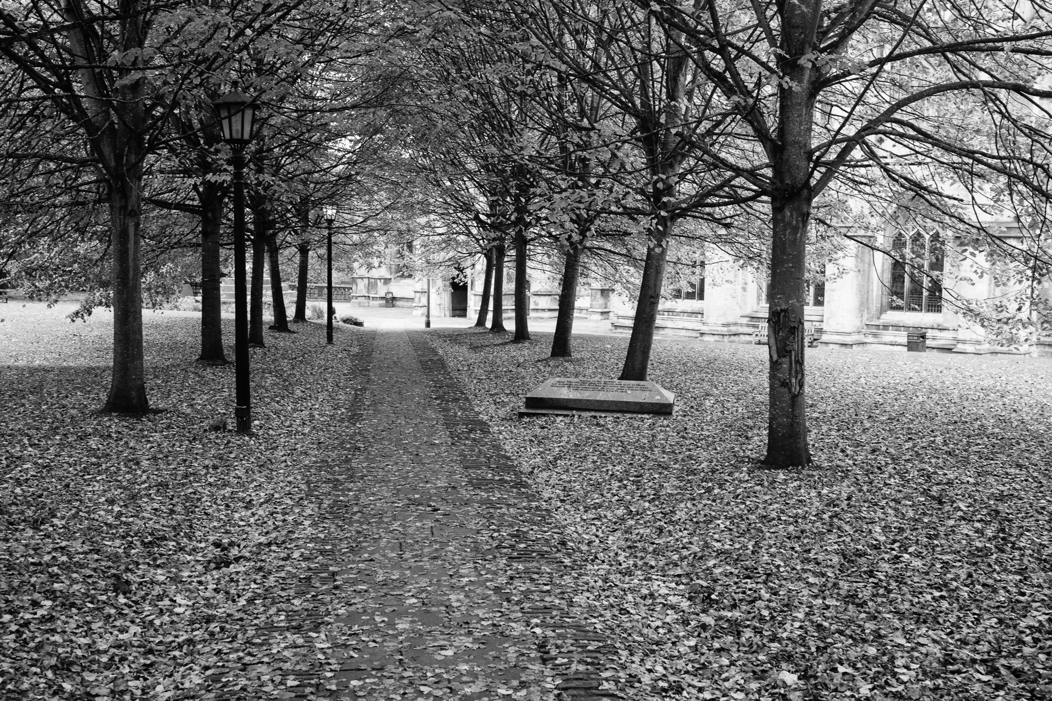 Park at St Mary Redcliffe church in autum